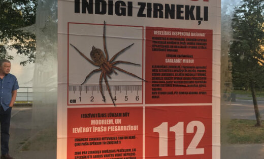   False Alerts on Venomous Spiders Posted in Riga 