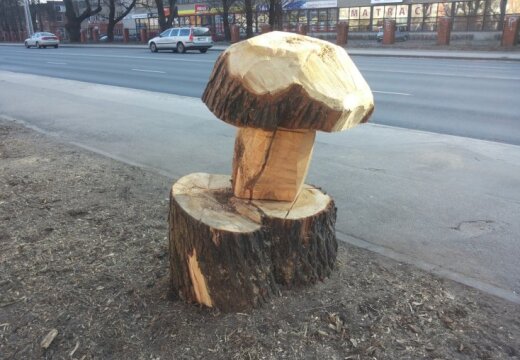 ФОТО: На месте опасной ивы в Пурвциемсе "вырос" деревянный гриб
