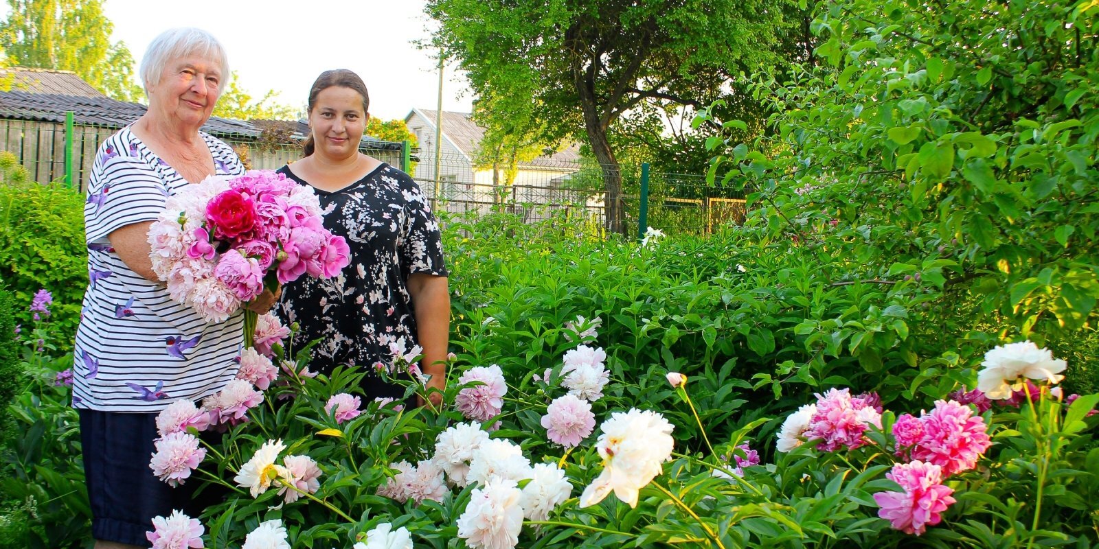 Повелительницы цветов: в гостях у Иевы и Бригиты Сталидзане, в саду которых растет 250 пионов