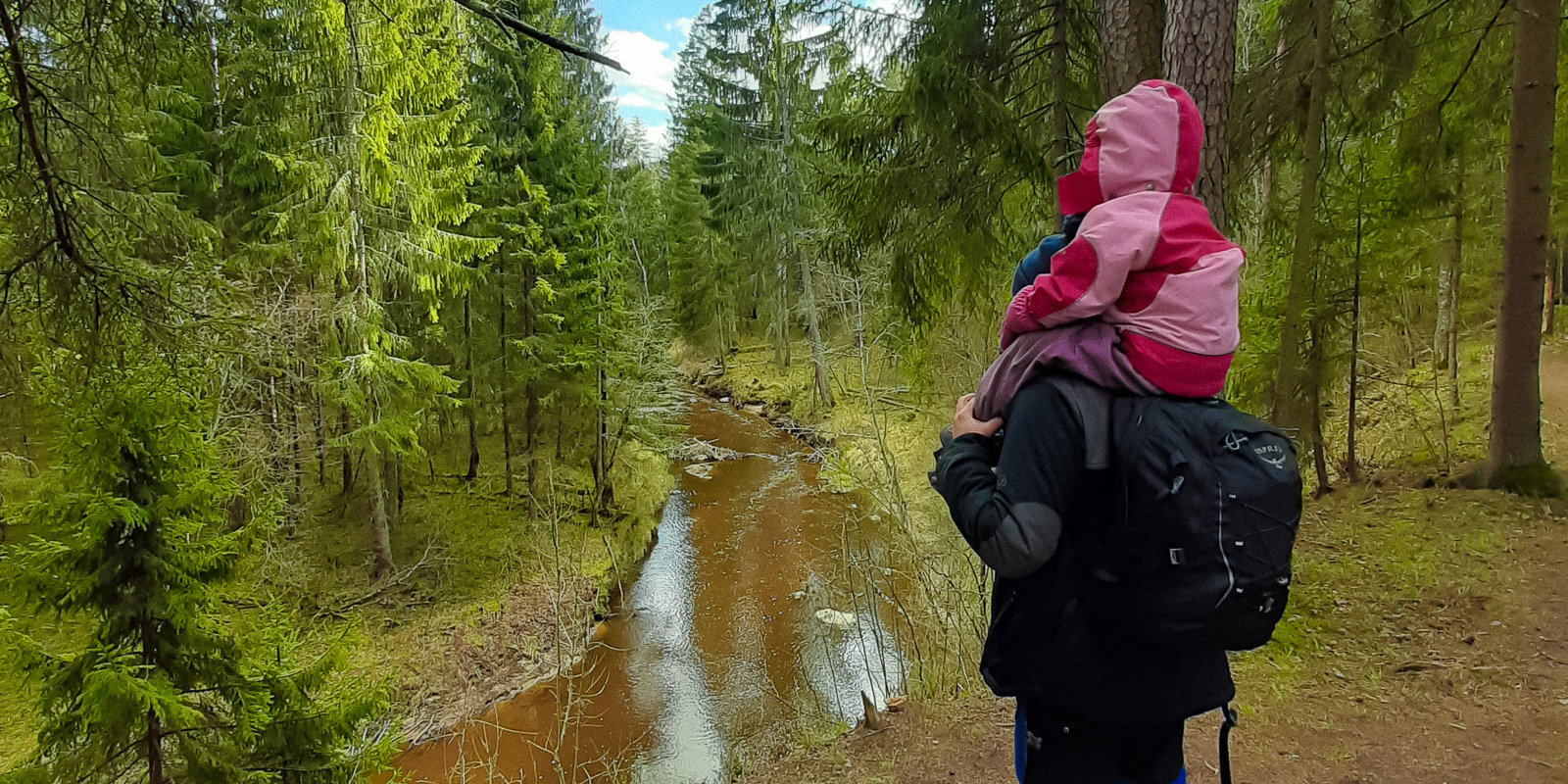 Bērns būs pārgājiena vadītājs. Tēta pieredze, ejot pie dabas ar trīsgadnieku