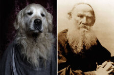Литературненький гав-гав: Собаки из приюта в образе великих писателей