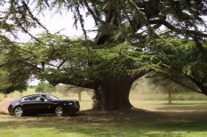 ВИДЕО: Парень нарезает круги вокруг дерева на роскошном Rolls-Royce за 300 тыс. евро