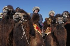 Iespējams, stilīgākais brīvā laika pavadīšanas veids: Jāšana ar kamieļiem