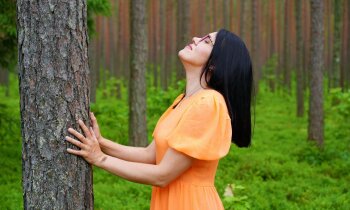 Sajust, izgaršot, sadzirdēt: meža terapijas dziedinošais spēks