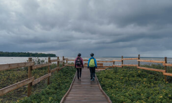 Igauņu Livonijas romantika: aveņu vīns, meloņu kartupeļi un piparmētras