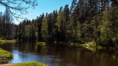ФОТО. Самая красивая в Латвии: тропа Сканякална в Мазсалаце