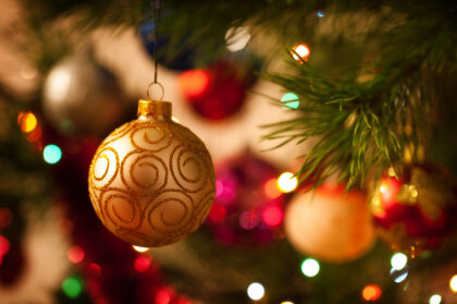 12 секретов, которые нужно знать при покупке новогодней елки