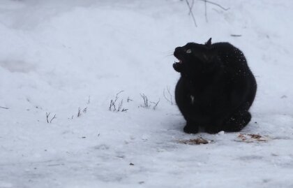 Dienā debesis pakāpeniski nomāksies