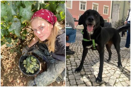 No Portugāles ielām uz Latviju. Kā Kate no ceļojuma atveda labāko 'suvenīru' – suni Fado