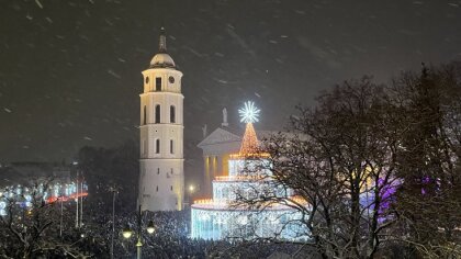 ВИДЕО. Вильнюс зажег самую большую елку за все времена — на 700 свечей с сюрпризом внутри