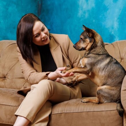 Jauns TV raidījums suņu mīļiem – 'Ziņkārīgais Čiekurs. Suņa saimnieka rokasgrāmata'