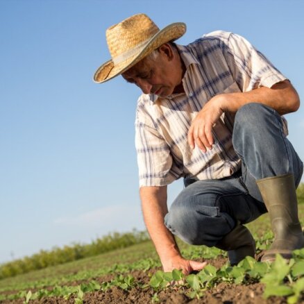 Visvairāk brīvo sezonas darba vietu patlaban ir lauksaimniecībā