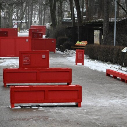 Foto: Tuvāk dzīvniekiem – dizainers Artūrs Analts radījis īpašu instalāciju Rīgas Zoo