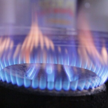 Калвитис: не стоит ждать снижения цен на газ