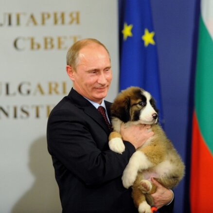 Японцы подарили Путину щенка в обмен на диалог по Курилам