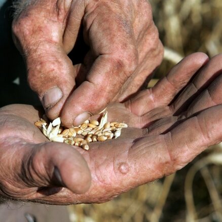 'Doņeckas Tautas Republika' sodīs graudu eksportētājus