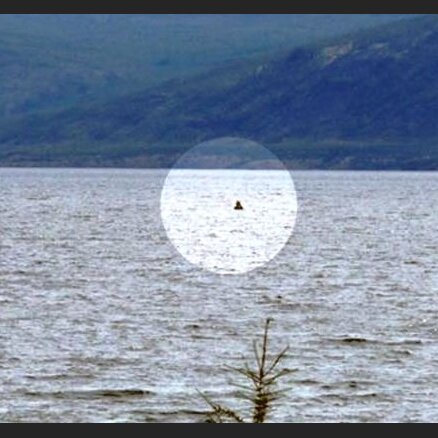 Arī Sibīrijas ezerā atrasts ūdens briesmonis