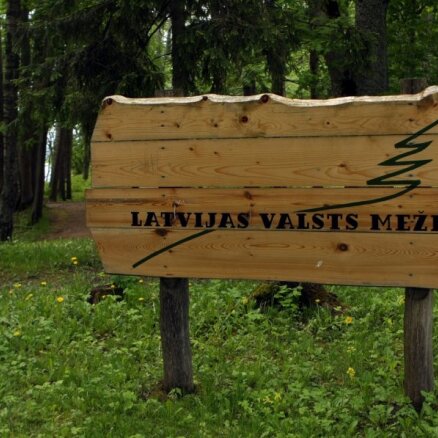 'Latvijas Valsts meži' vietumis mežos izbūvē koka autoceļus