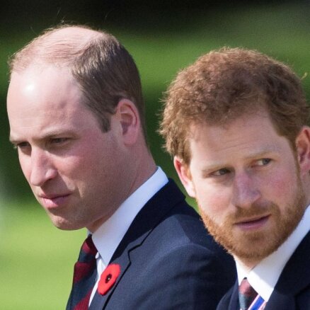СМИ: Принц Уильям попросил принца Гарри вернуться домой