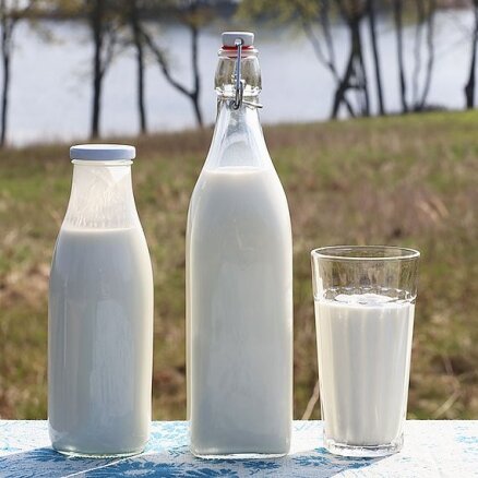 Vairāk nekā 10 piena pārstrādes uzņēmumiem draud bankrots, ziņo 'ReTV'