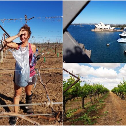 Dzīvot Austrālijā un strādāt vīnogu plantācijā – latviešu ceļotājas pieredze