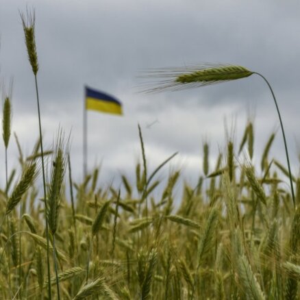 Россия приостановила действие "зерновой сделки" на неопределенный срок