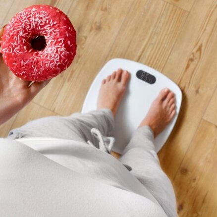 Весы защитят от переедания в новогодние праздники