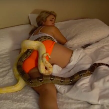 Interneta hits: Meitene pamostas gultā ar milzu čūskām
