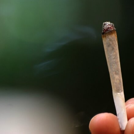 21,7% eiropiešu lietojuši marihuānu vai hašišu, apgalvo ministrija