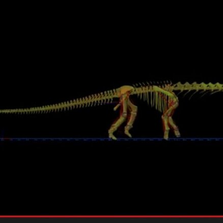 Izskaitļots, kā senatnē pārvietojās milzu dinozaurs