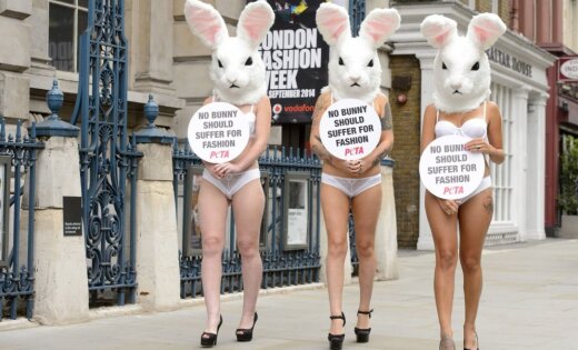 PETA zaķīši iestājas pret zaķu slepkavošanu