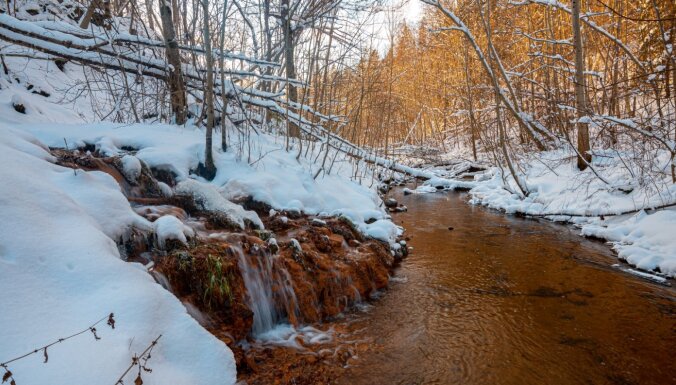 Foto: Krāšņie Dāvida avoti, kas vareni skaisti arī ziemā