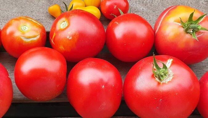 Elzas mammas garšīgā un smaržīgā tomātu mērce
