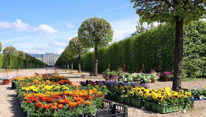 Rundāles pils franču dārzā 7. maijā notiks pavasara stādu tirgus