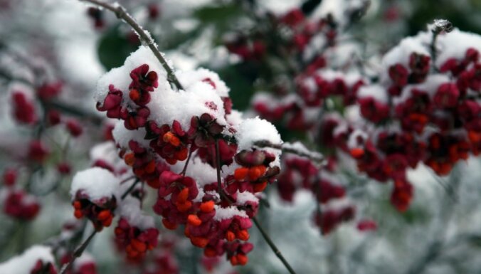 Pirmās sniega prognozes, fotoradari, Ukraina un 'Izlaiduma gads'