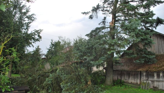 Salaspilī un Rīgā vētra nogāž vairākus kokus (16:50)