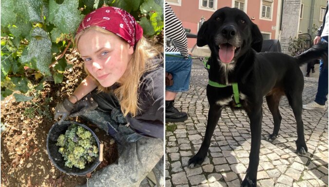 No Portugāles ielām uz Latviju. Kā Kate no ceļojuma atveda labāko 'suvenīru' – suni Fado