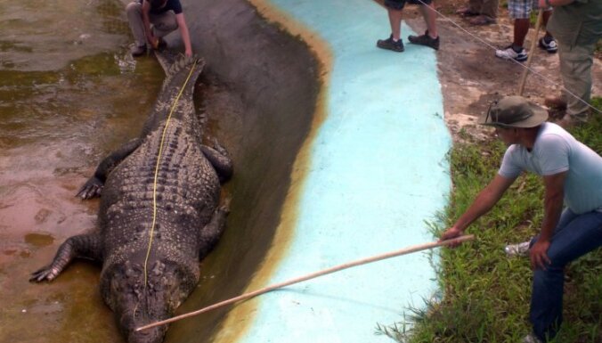Гигантский крокодил попал в Книгу рекордов Гиннесса