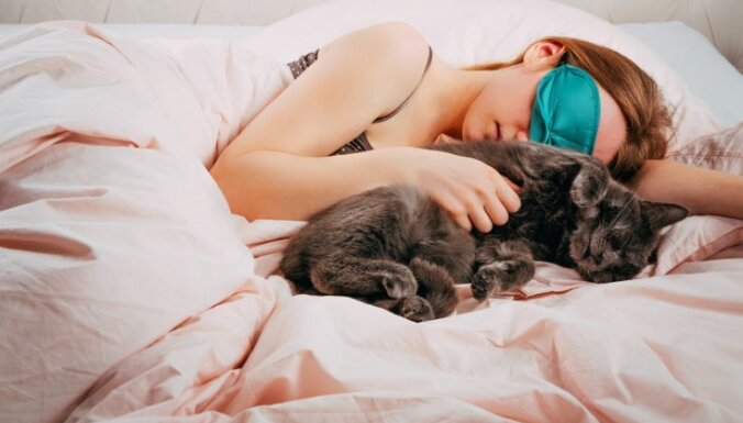 Gultā ar mājas mīluli: plusi un mīnusi gulēšanai kopā ar kaķi