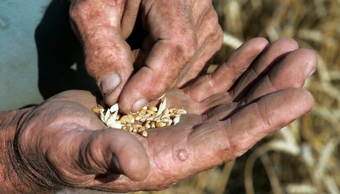 'Doņeckas Tautas Republika' sodīs graudu eksportētājus