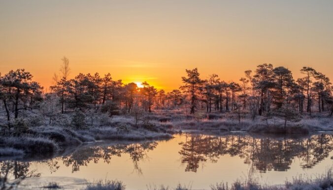 Магические фото: прохладное весеннее утро на Большом Кемерском болоте