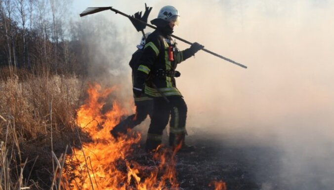 Около Даугавгривского шоссе в трех местах загорелись старник и тростник