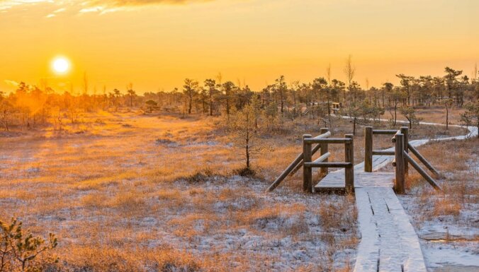 Maģiski dabas skati: saullēkts ziemas rītā Lielajā Ķemeru tīrelī