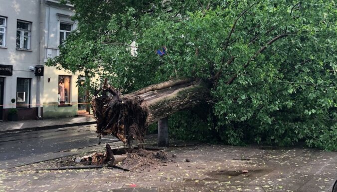 После бури в Литве были перекрыты улицы, повреждены автомобили