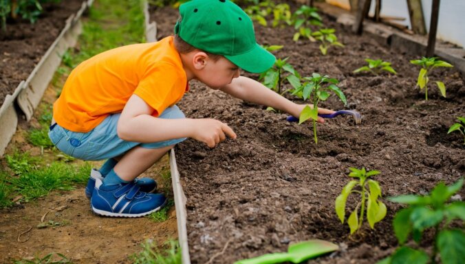 10 простых советов для сада и огорода
