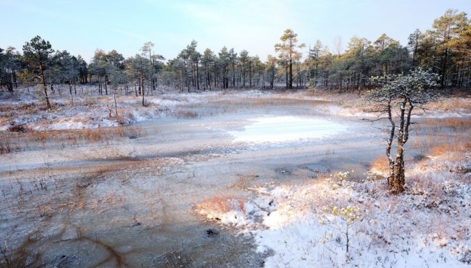 Foto: Neparasti un skaisti skati uz Cenas tīreļa purvu ziemā