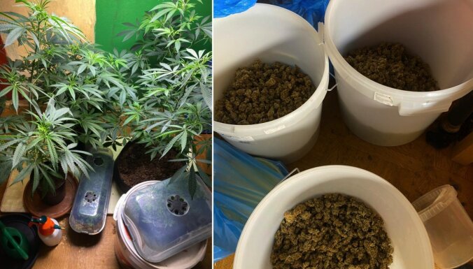 ФОТО: полиция нашла в Риге и Рое минифермы, где выращивали марихуану