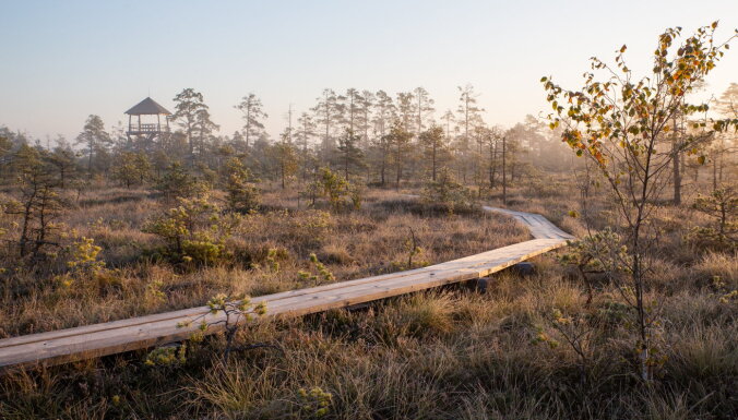 Временно закрыты природная тропа на Ценском болоте и смотровая вышка Бумбу калнс