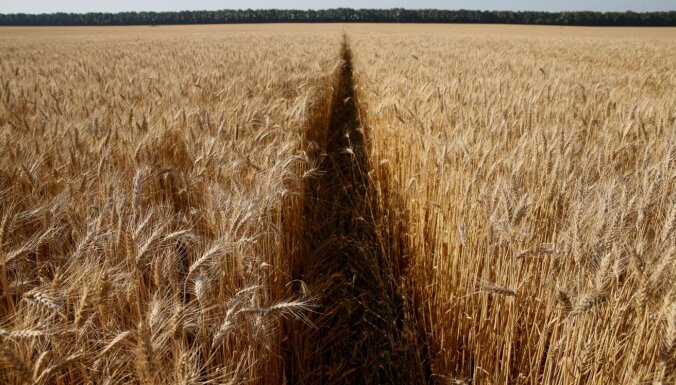Главы парламентов стран НАТО в Вильнюсе: нельзя затягивать с решениями о вывозе зерна из Украины