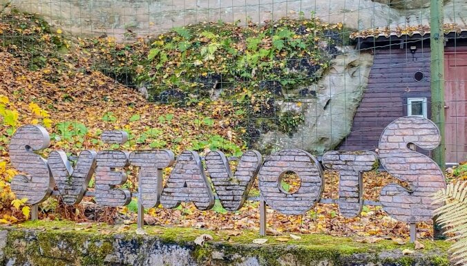 ФОТО. Сказочное королевство рядом с Цесисом: природный парк, где течет незамерзающий зимой источник Светавотс